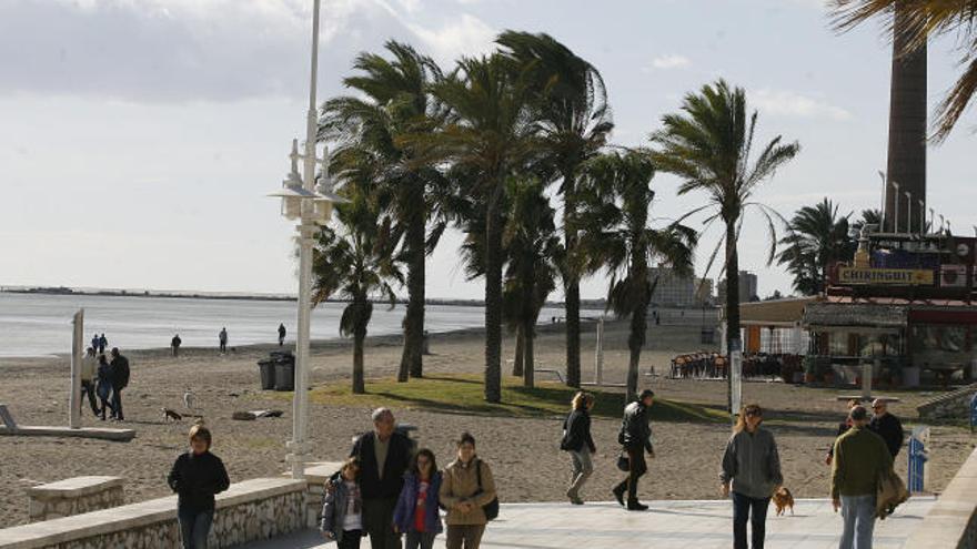 Día de viento junto al mar.