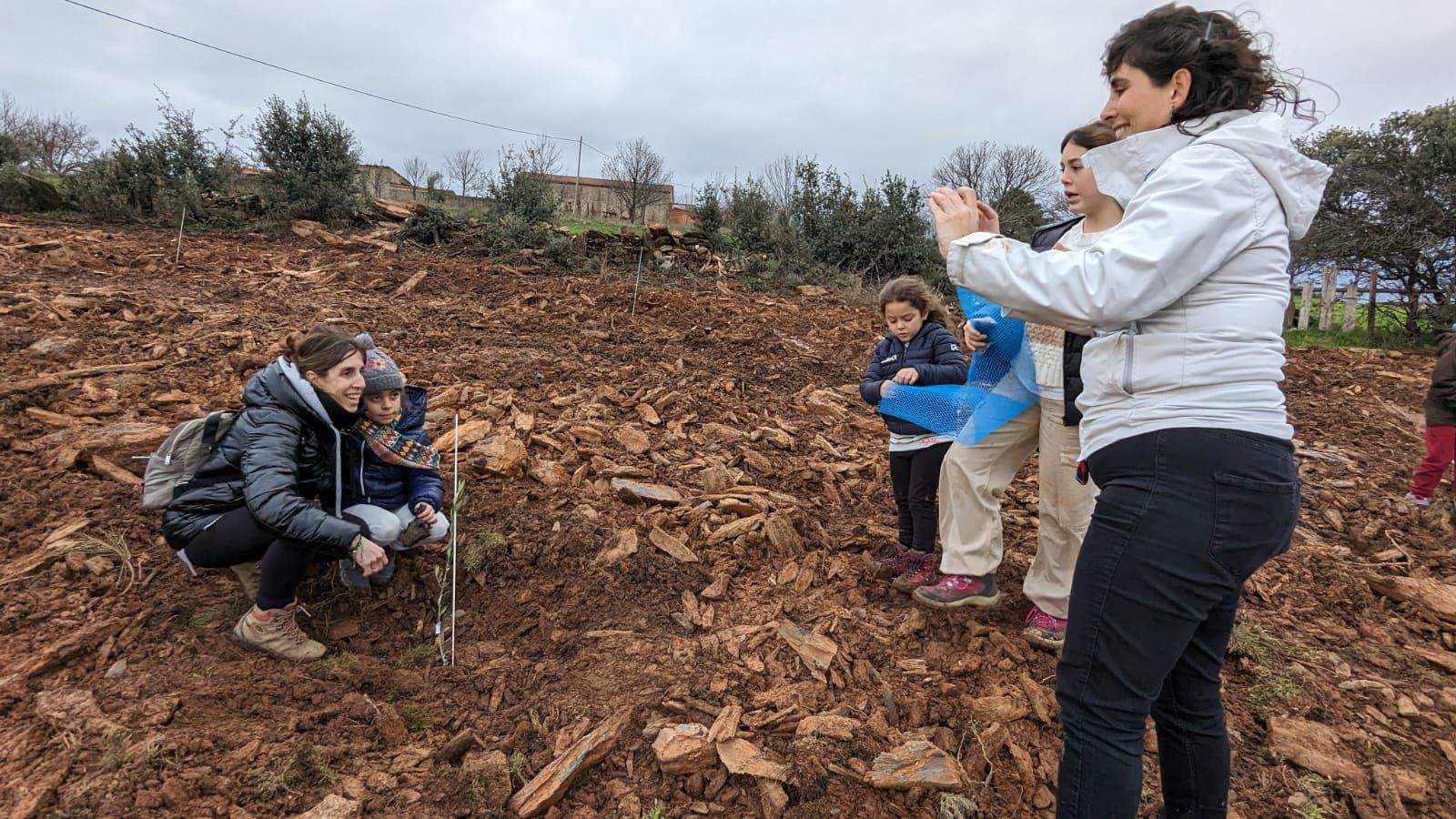 GALERÍA | Un jardín de 20 especies de olivos en Aliste