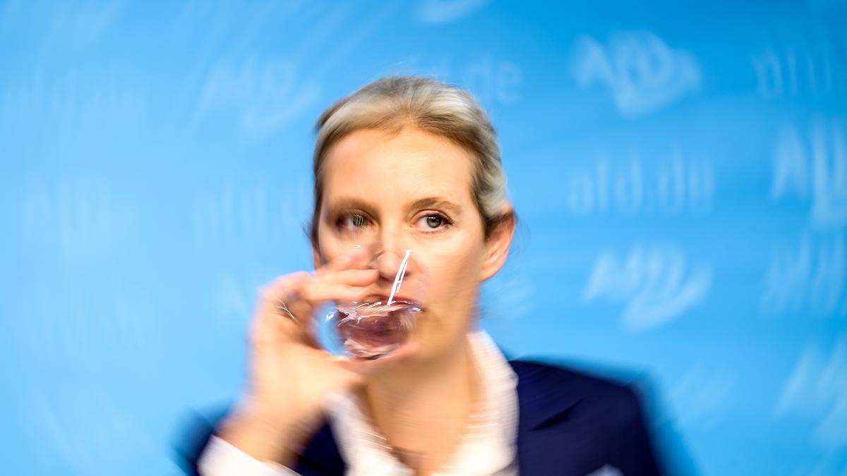 Reacciones del partido político de derechas AfD a los resultados de las elecciones regionales de Brandeburgo