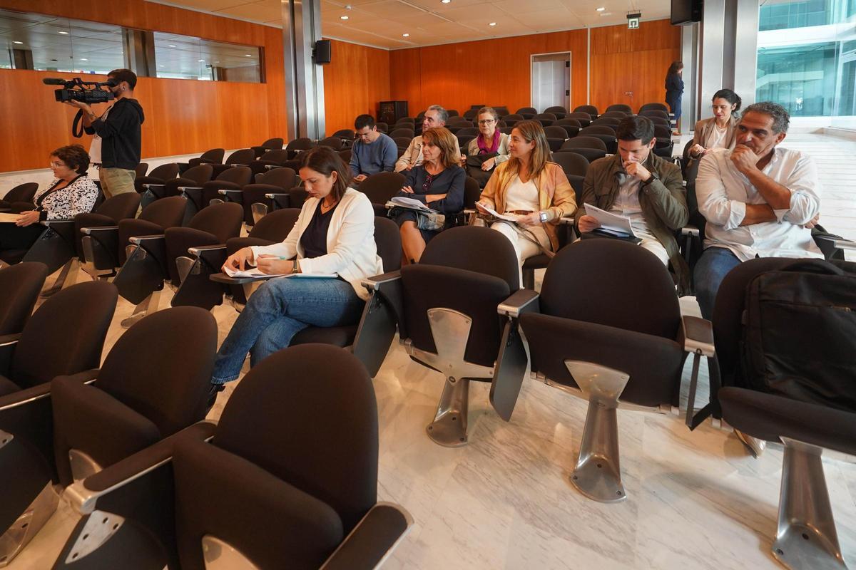 Los representantes de los ayuntamientos que han asistido esta mañana, en el Consell, a la jornada técnica.