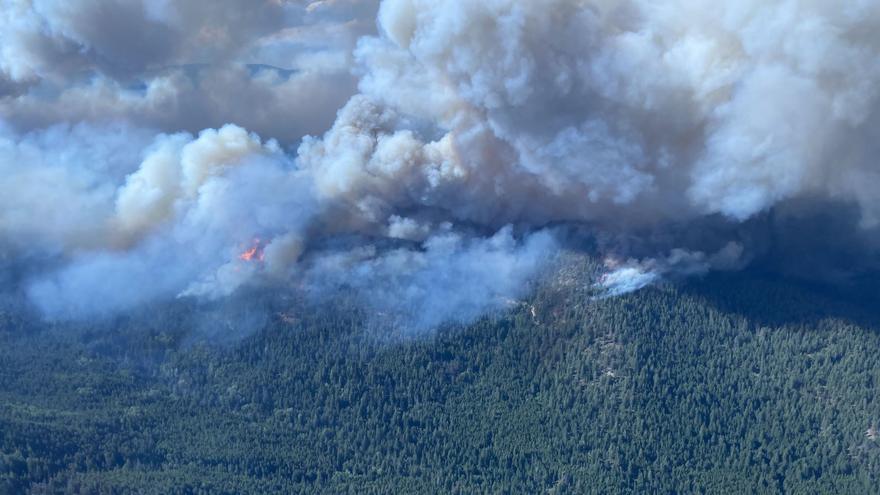Si las emisiones del petróleo van frenándose, ¿por qué sigue subiendo tanto el CO2 atmosférico?