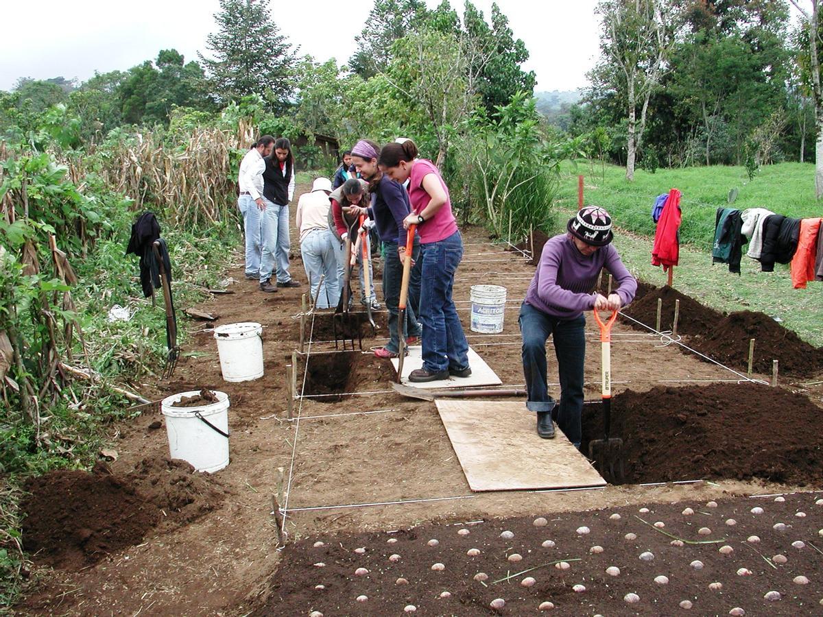 Prácticas de agricultura biointensiva