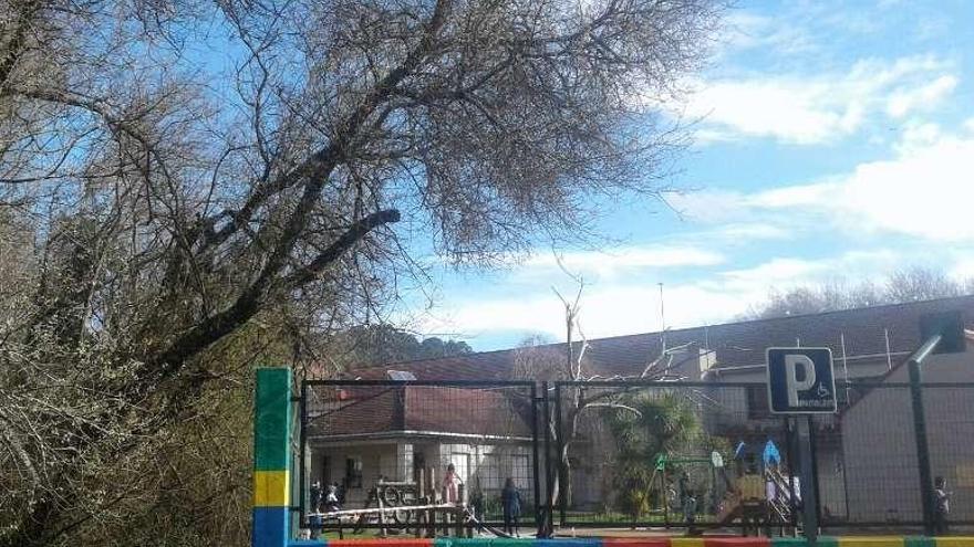 Árboles inclinados sobre el patio del colegio A Rúa. // S.Á.