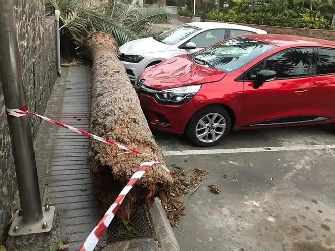 Consecuencias del viento en Canarias