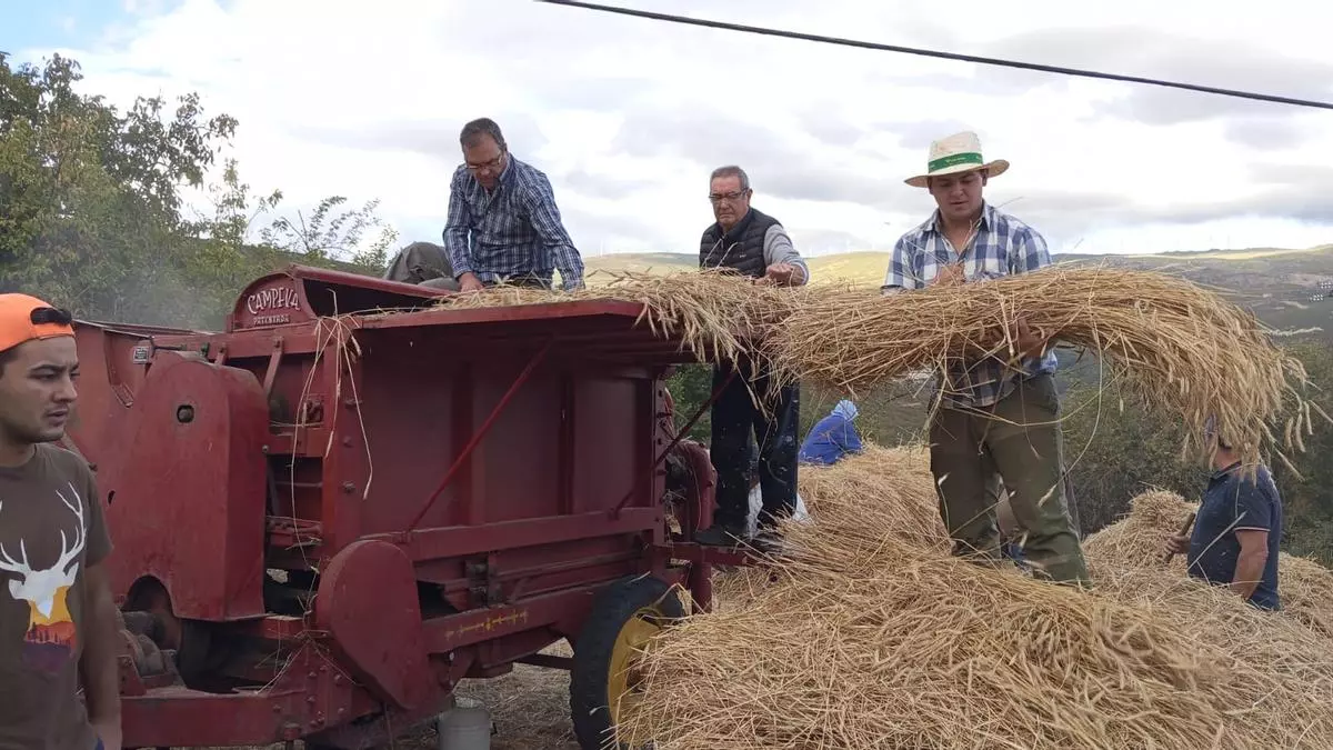 Vuelve a rugir la última máquina majadora de San Ciprián de Hermisende