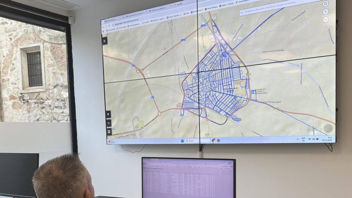 Trabajado consulta datos en una plataforma digital