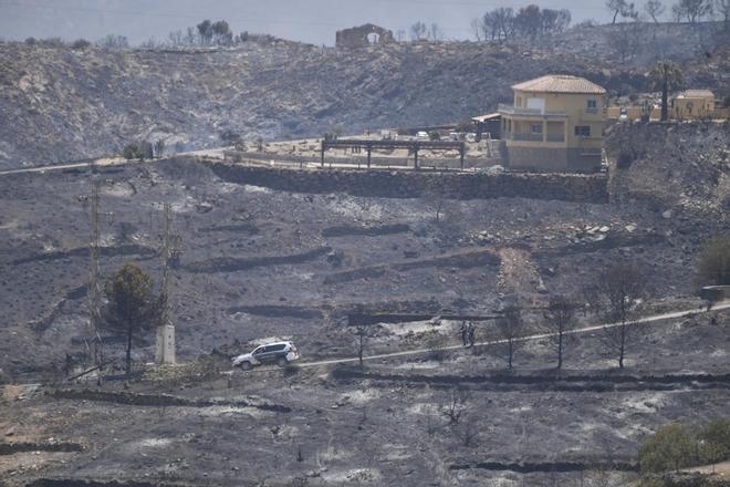 Finalizan las batidas en Los Gallardos (Almería) sin encontrar nuevas víctimas mortales en las zonas incendiadas