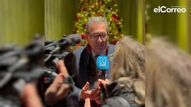 Vídeo | Antonio Pulido, pte. Fundac. Cajasol, sobre Torre Sevilla