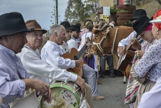 Romería de Arucas 2017