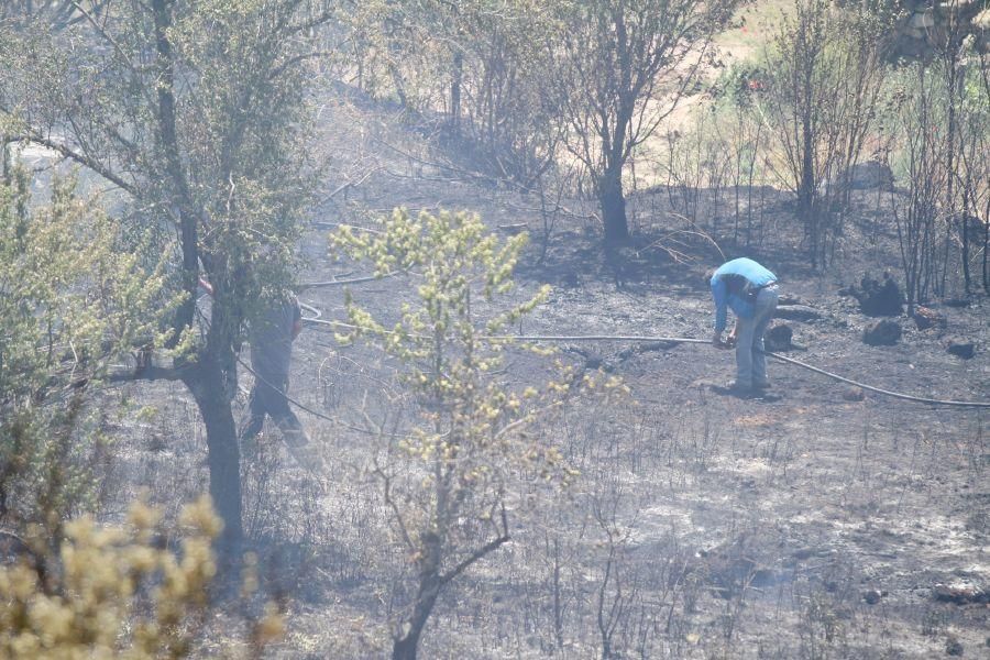 Fuego en las bodegas de Valcabadino