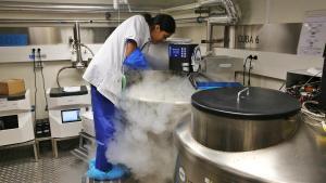 Laboratorio del Hospital Clínic donde se desarrollan las terapias celulares