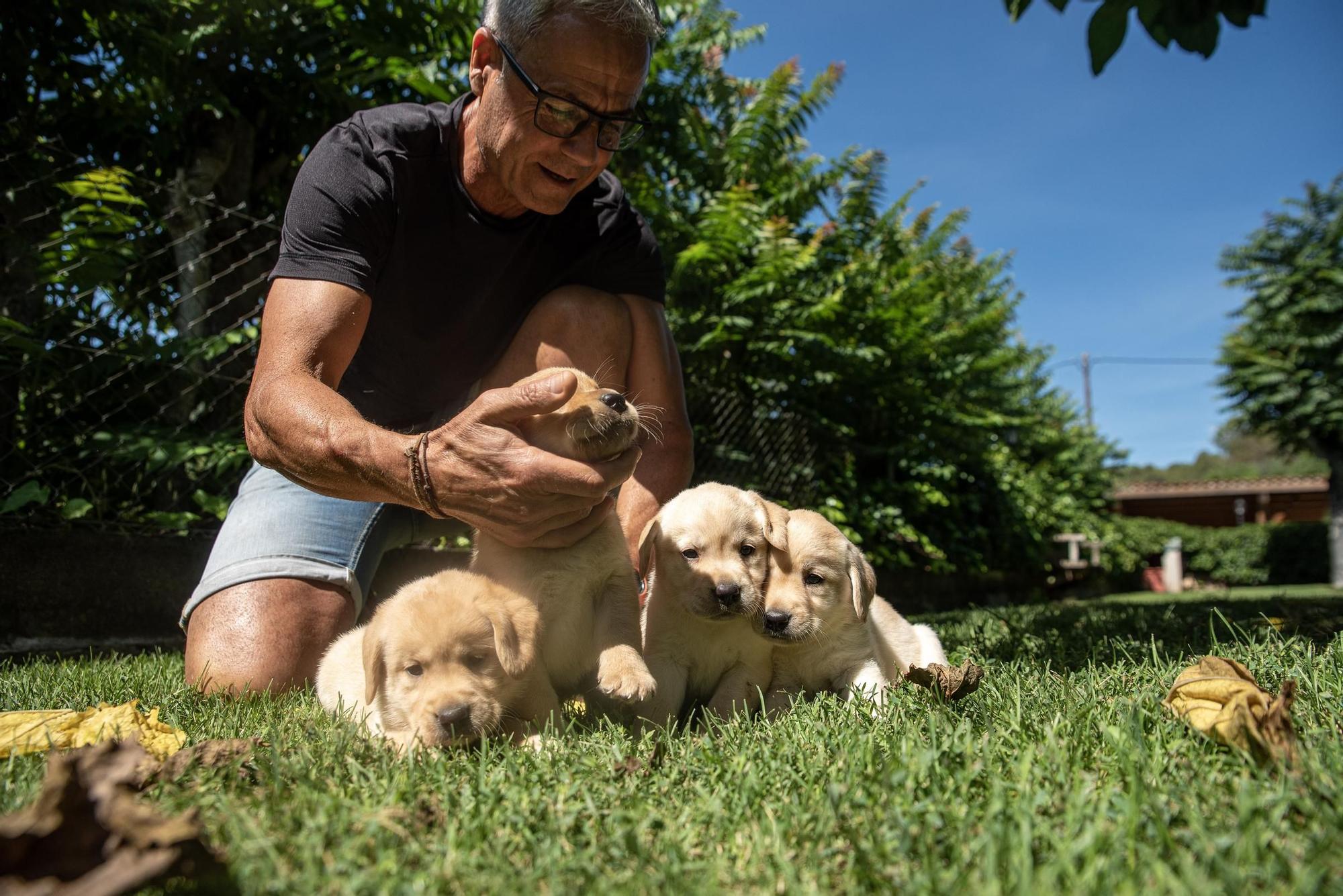 Residències canines: Goscan de Fonollosa