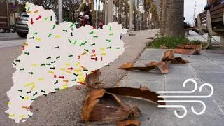 MAPA | Así va evolucionando el temporal de viento en Catalunya: las rachas van a más esta mañana