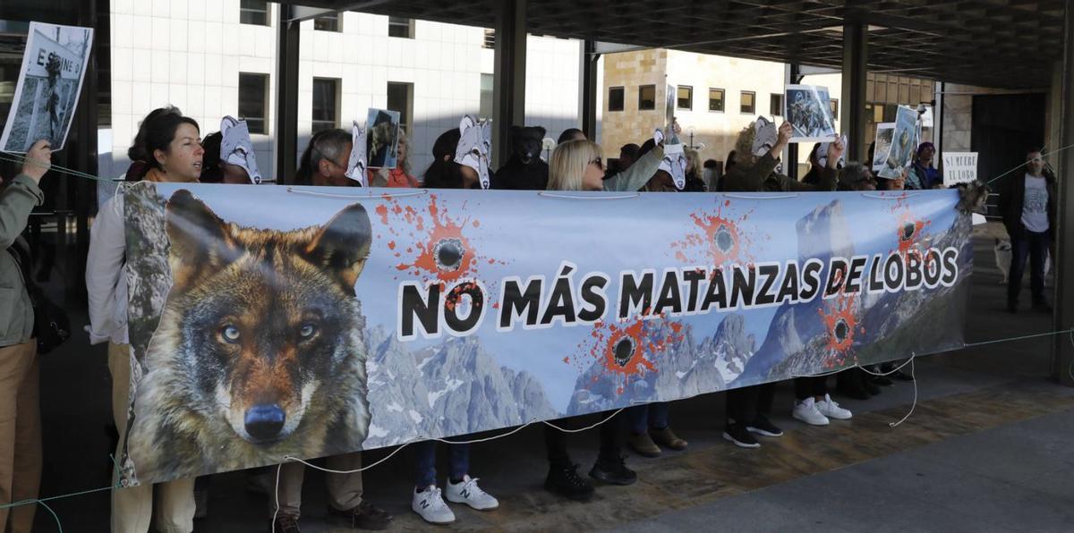 Grupos conservacionistas manifestándose ante la Consejería de Medio Rural.