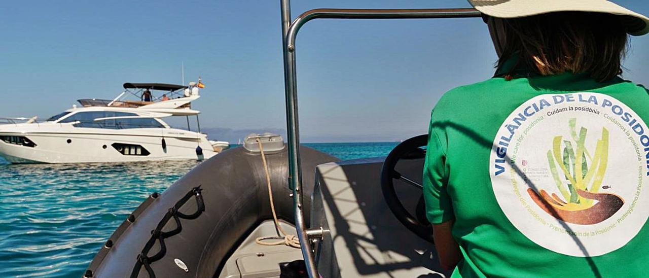 Un vigilante de las praderas de posidonia en plena labor de control de embarcaciones. | CAIB