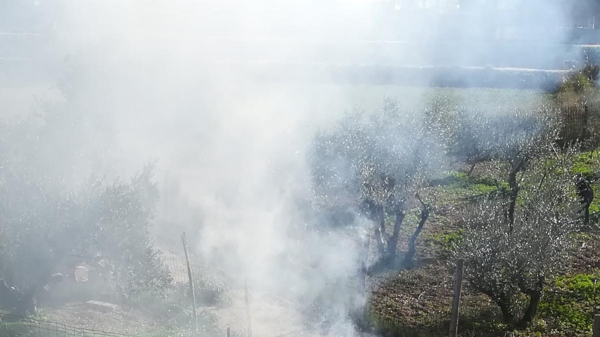 Algunos de los sensores se colocarán en zona de huerta.