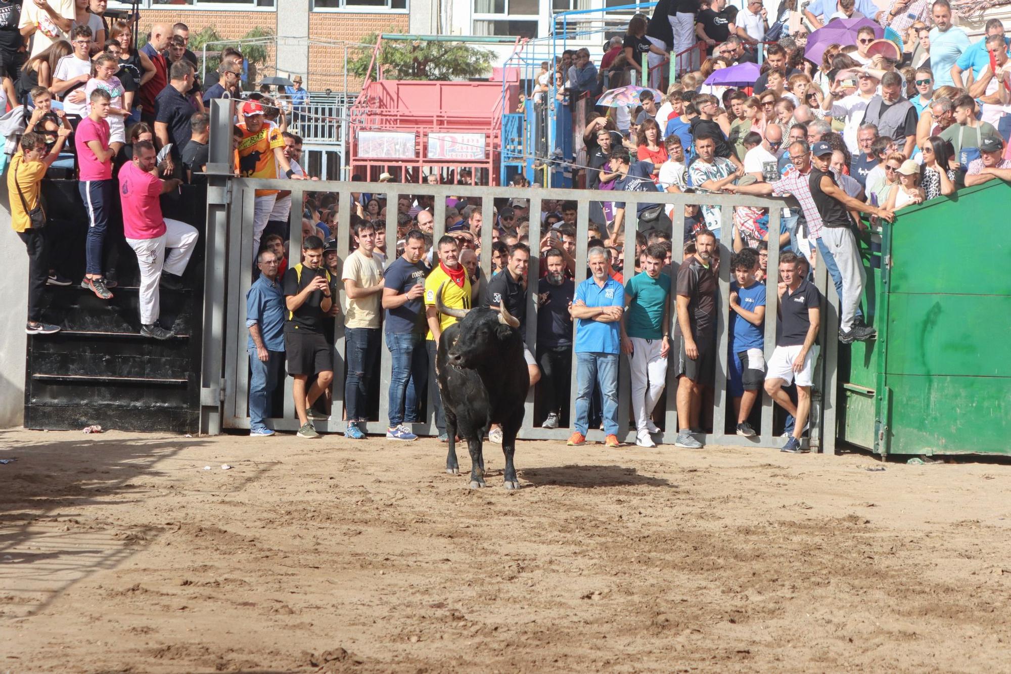 Las mejores imágenes del primer encierro de la Fira d'Onda