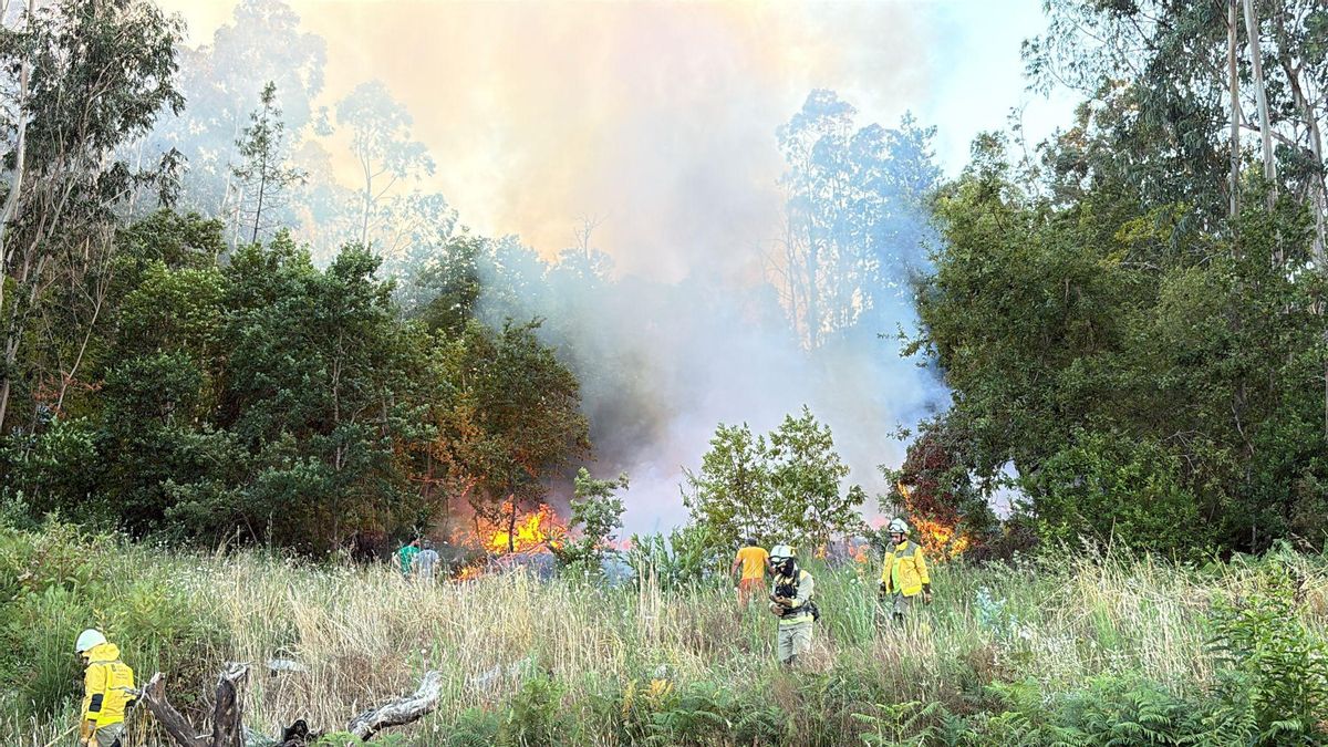 Efectivos na extinción do incendio de Parada, onte.