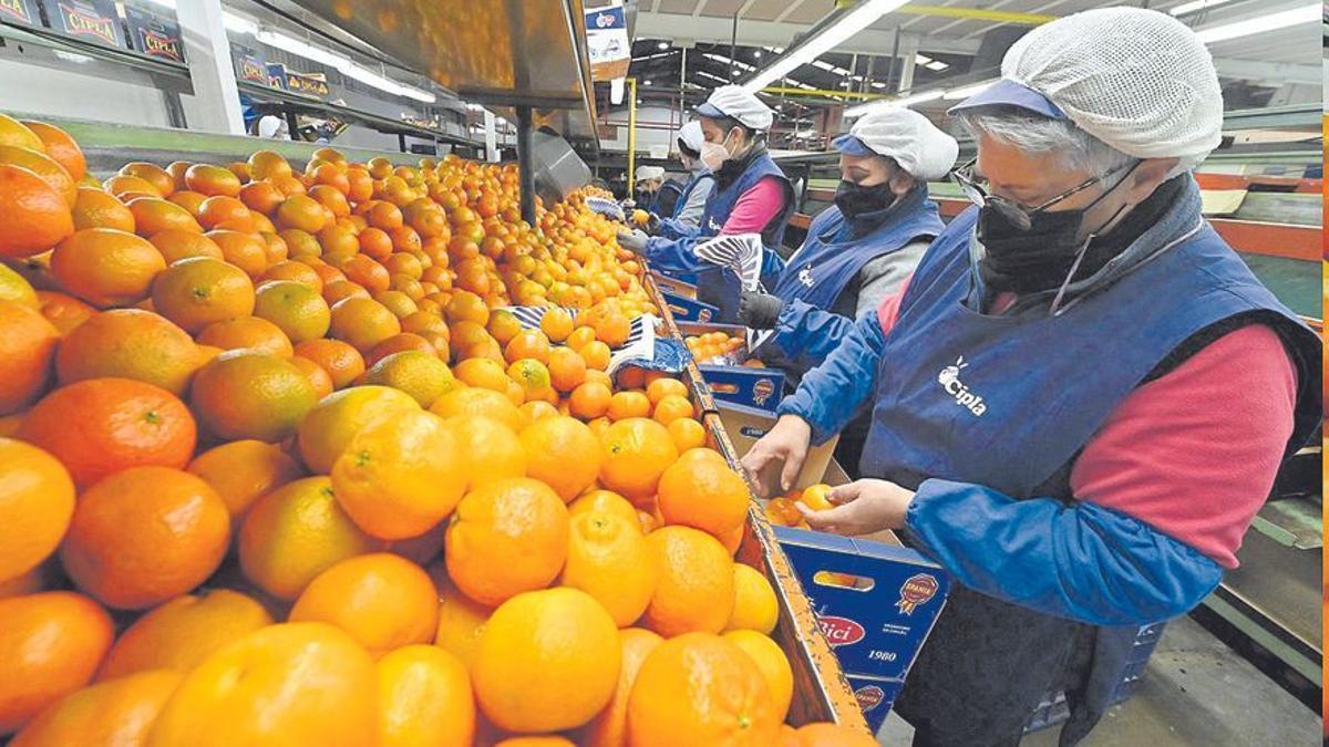 La brecha salarial entre mujeres y hombres solo se reduce 100 euros en la C. Valenciana