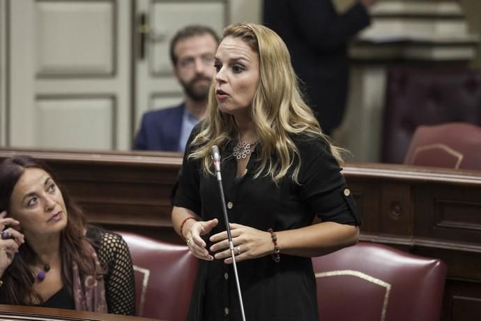 Pleno en el Parlamento de Canarias