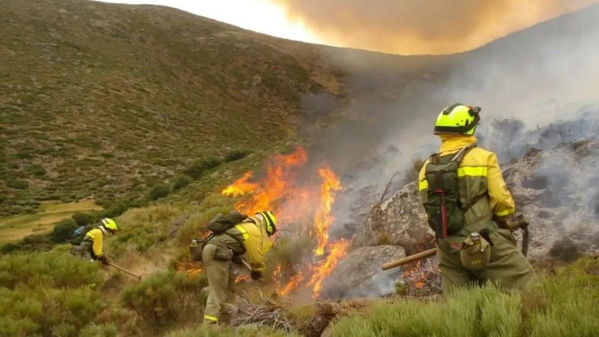 Bomberos del Plan Infoex realizan trabajos de extinción de un incendio forestal.