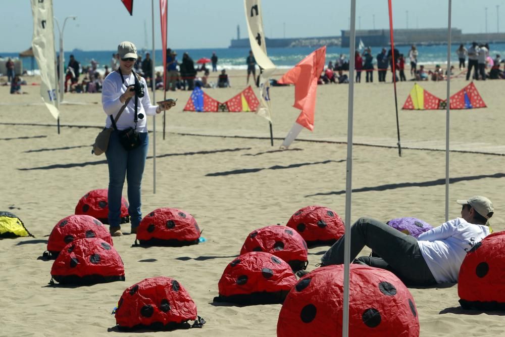 Festival del Viento 2016 en la Malva-rosa