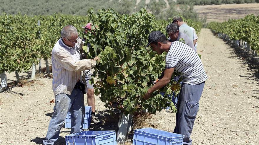 Moriles pide una &quot;representación digna&quot; en el Consejo Regulador de Montilla-Moriles