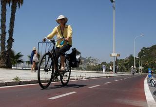 Aprueban la ordenanza que prohíbe a los patinetes eléctricos ir por la acera