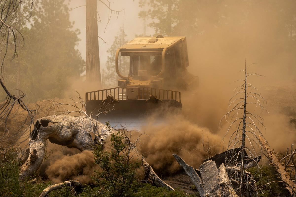 Un violento incendio amenaza el Parque Nacional de Yosemite en California