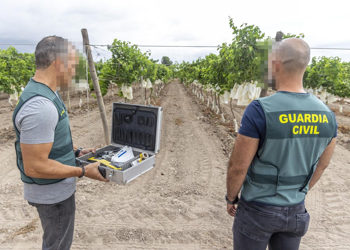 Dos Guardia Civil del equipo Roca de la compañía de Ibi, cuya sede se encuentra en Novelda.