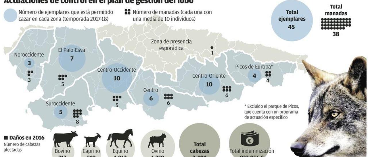 Los cazadores apoyan las batidas de lobos para aliviar la presión sobre la ganadería