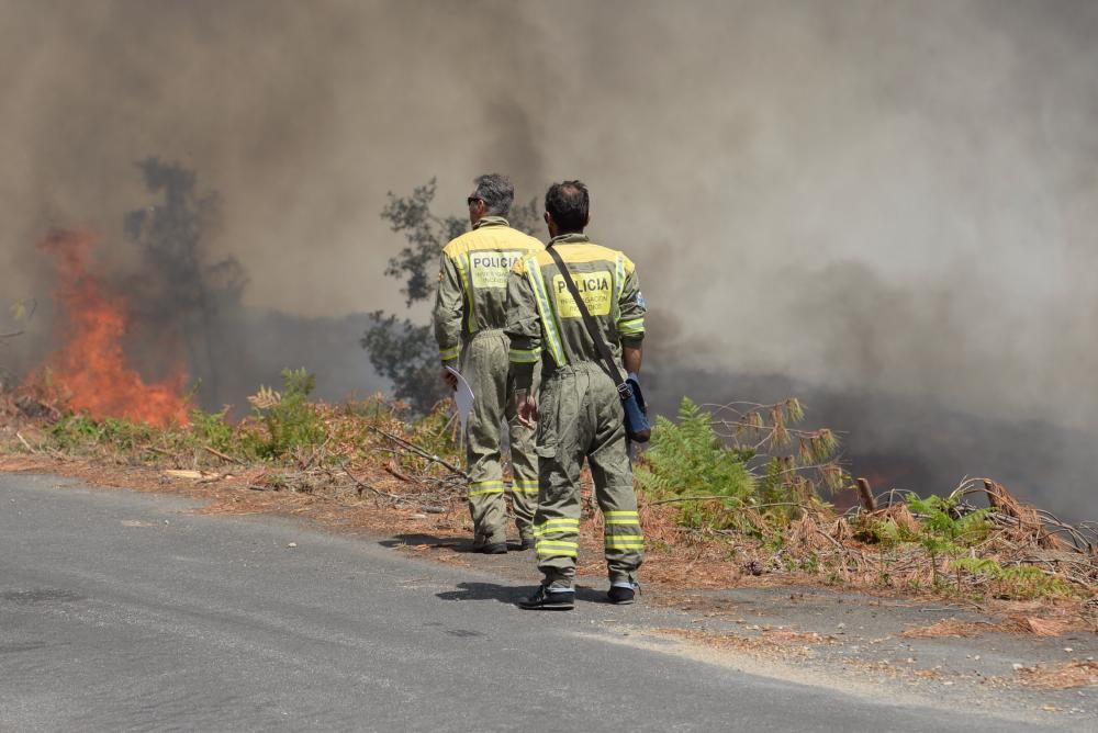 Incendio forestal en San Salvados de Meis