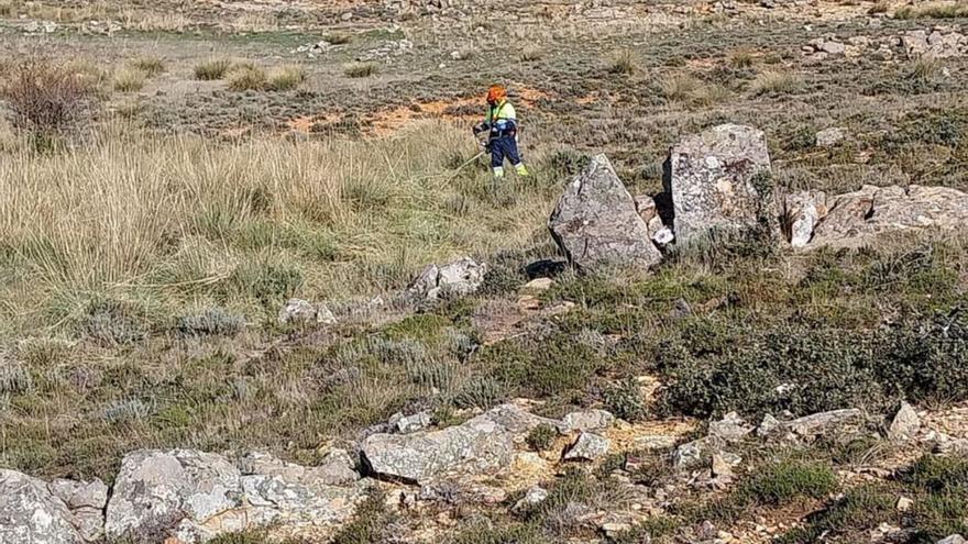 Limpieza realizada el pasado año en el Castro de Las Labradas. | FIRMA