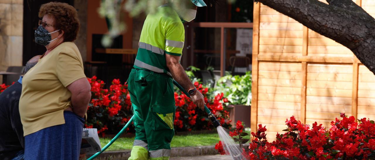 Un operario, ayer, regando los jardines de Álvarez Acebal.