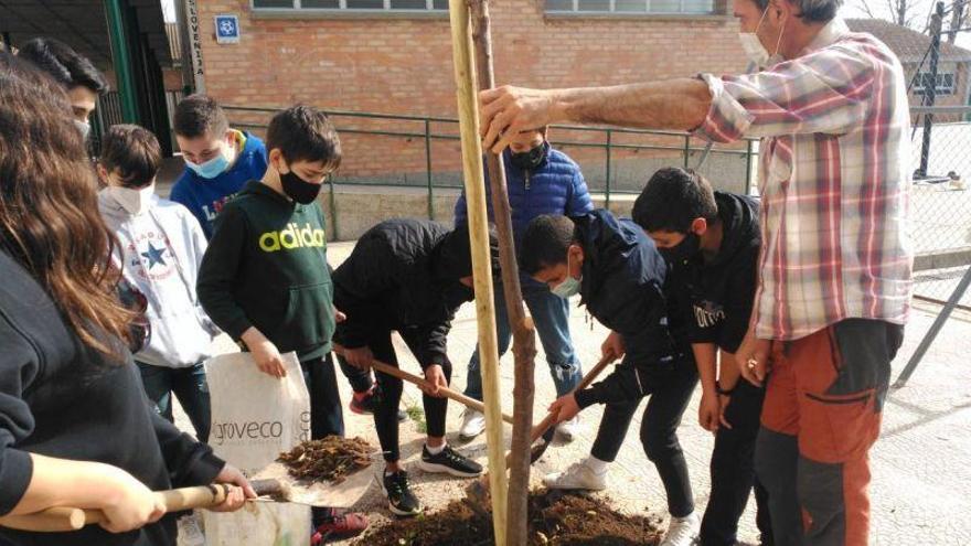 Los estudiantes del IES Monegros-Gaspar Lax plantan árboles para mejorar su patio