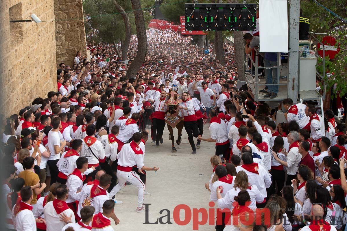 Así ha sido la carrera de los Caballos del Vino en Caravaca