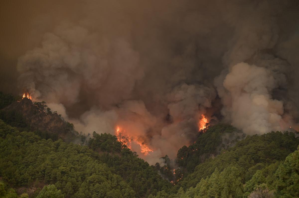 El incendio forestal de Tenerife, sin control