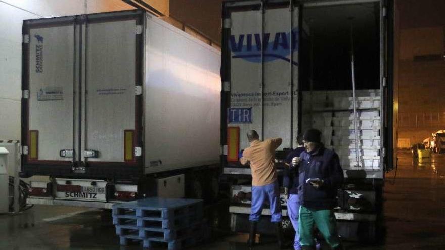 Camiones cargados de pescado procedente de barcos vigueses que descargaron en Irlanda. // Alba Villar