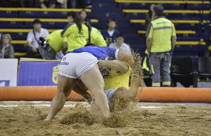 08/12/2018 LAS PALMAS DE GRAN CANARIA. Final ...