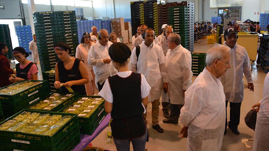 Los tunecinos se quedan prendados de la cadena agrícola de la Vega Alta