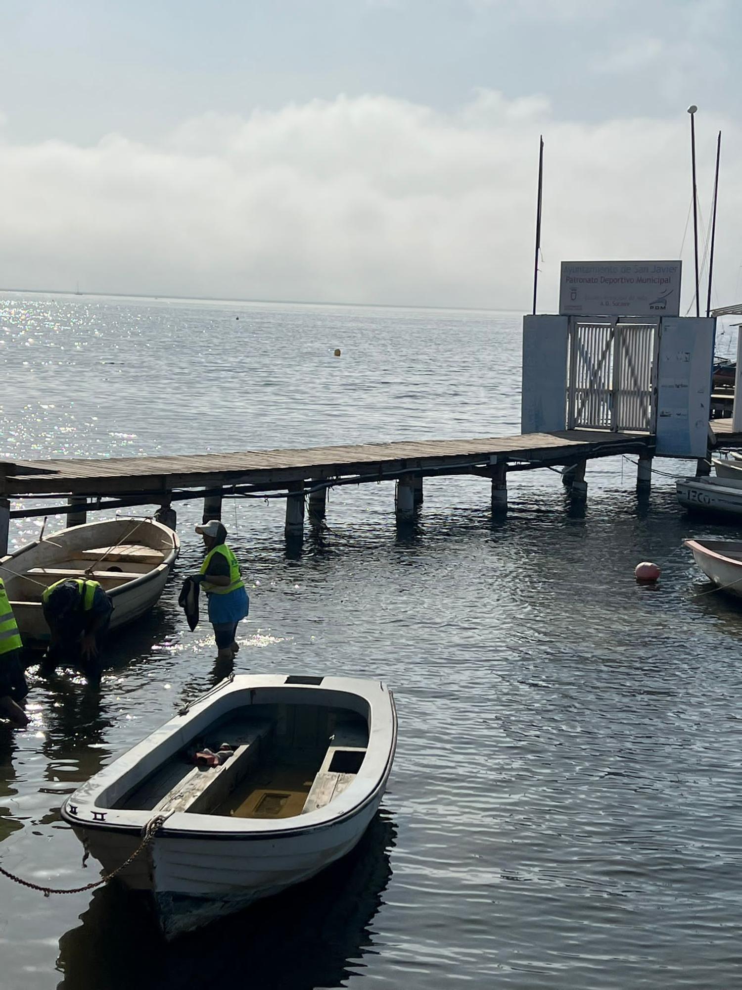 Peces muertos en el Mar Menor: aparecen ejemplares sin vida en Santiago de la Ribera