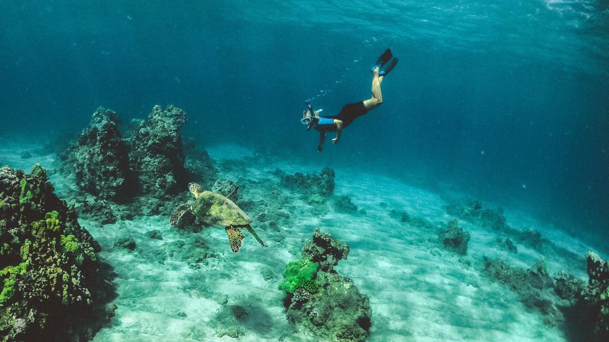 ¿Voluntariado de Conservación Marina en Koh Lanta? Corales, Requisitos y Cómo Participar