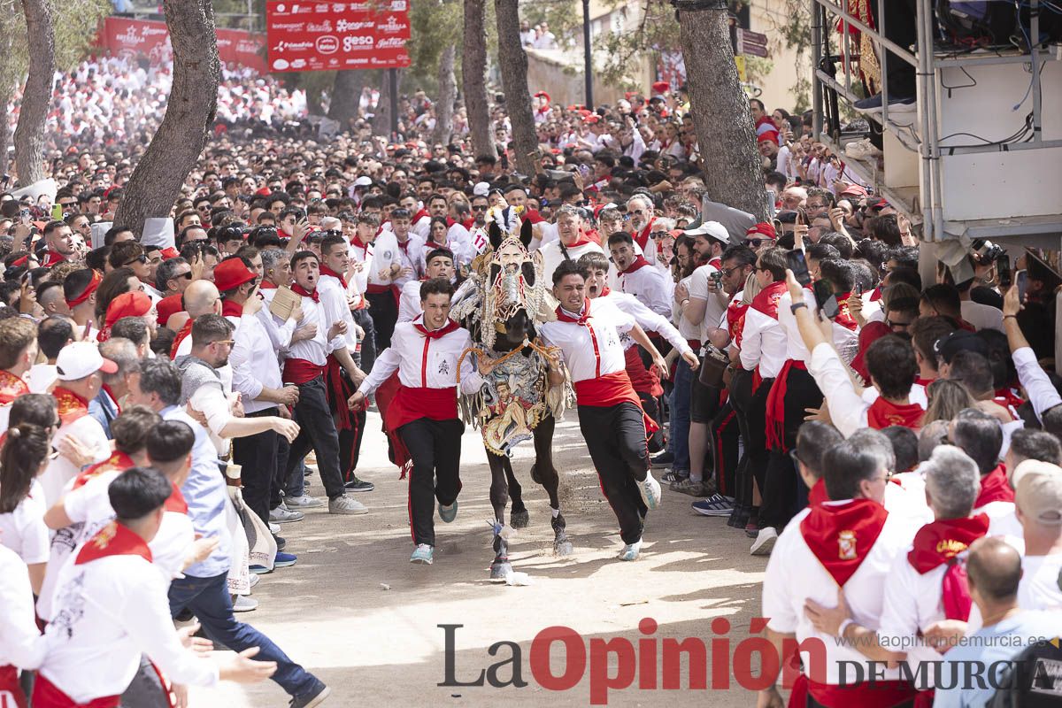 Así se ha vivido la carrera de Los Caballos del Vino en Caravaca