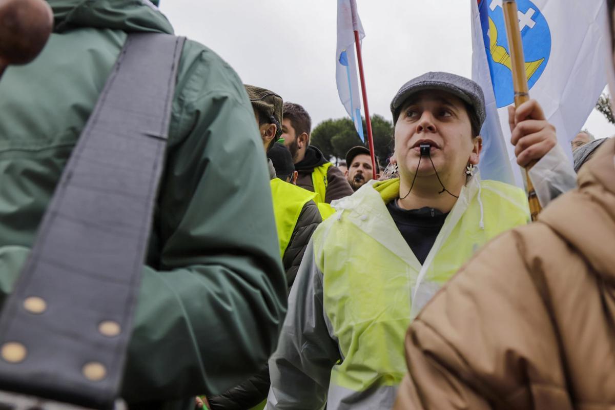 Protesta de los agricultores y ganaderos gallegos en Madrid