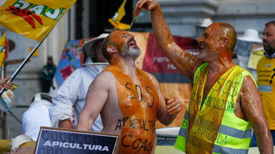 Apicultores zamoranos protestan en Madrid por la situación crítica del sector