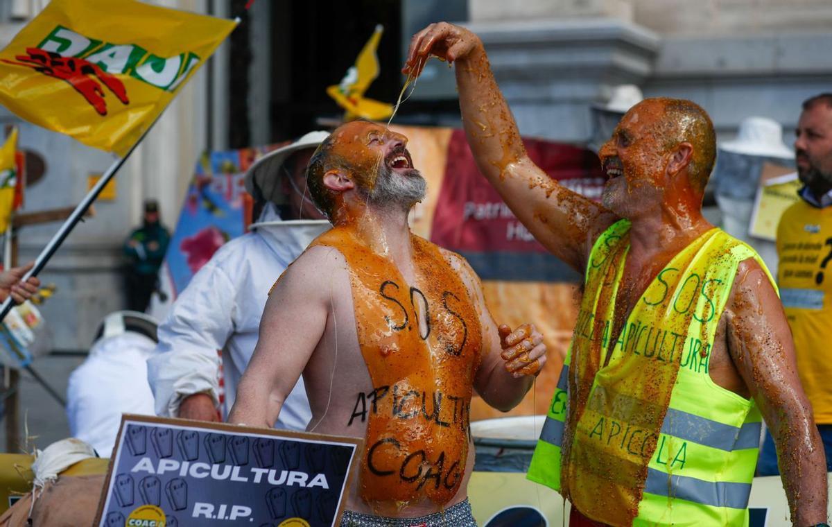Apicultores zamoranos protestan en Madrid por su situación crítica