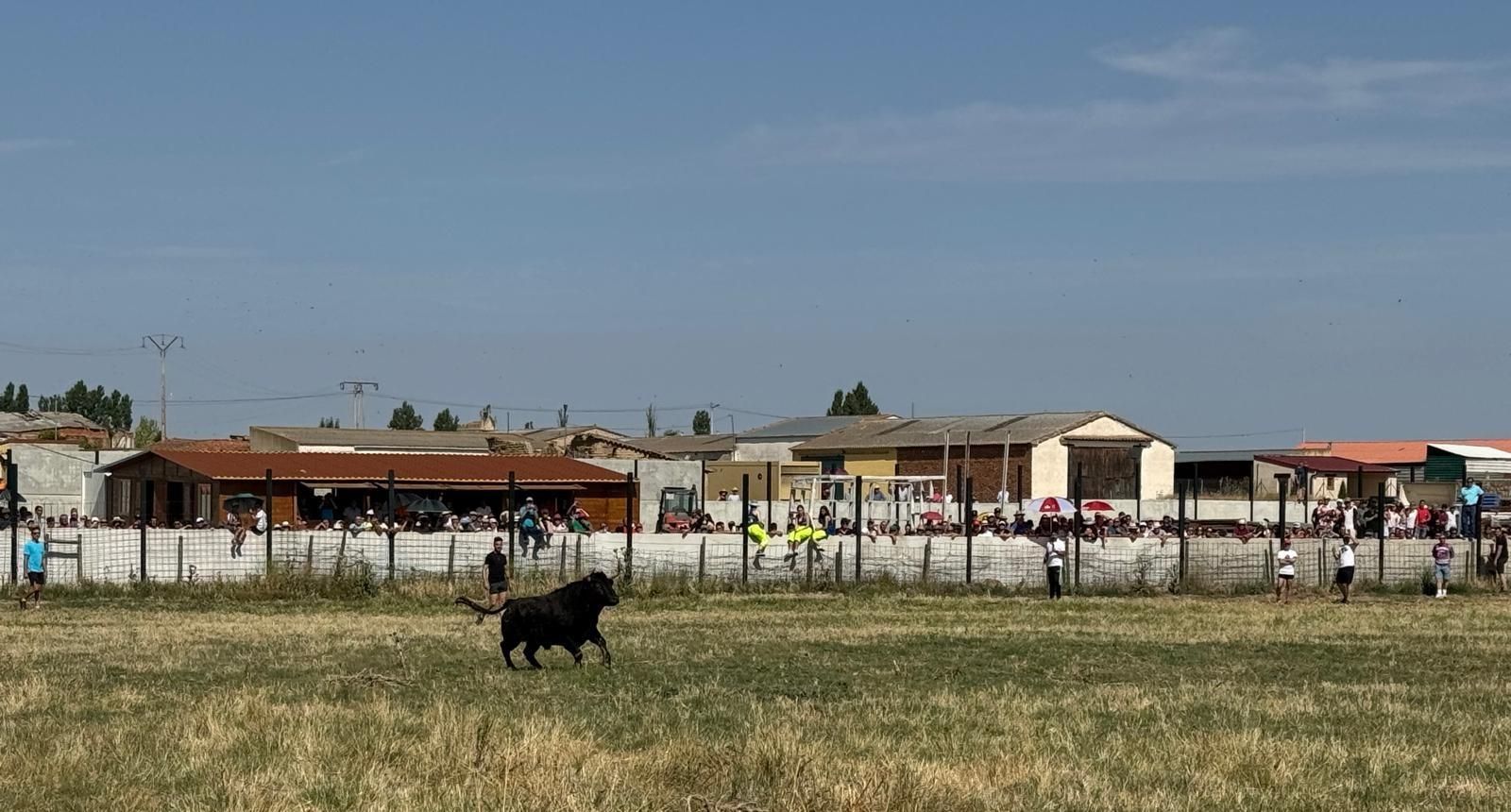 GALERÍA | Encierro bajo el bochorno en Vadillo de la Guareña