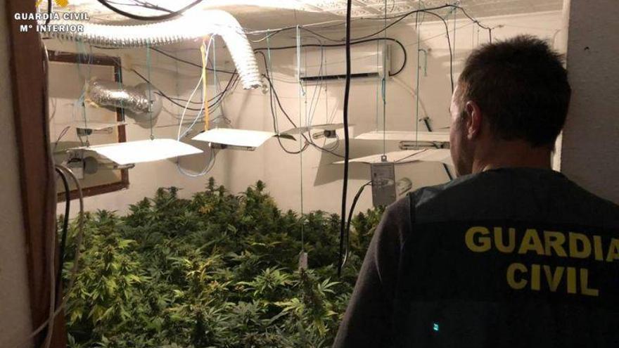 Detenidas cuatro personas en Caspe por cultivar marihuana en una vivienda