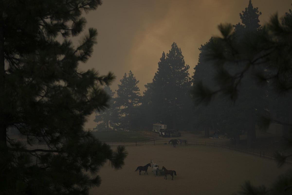 Grandes incendios en la zona de Running Springs en California