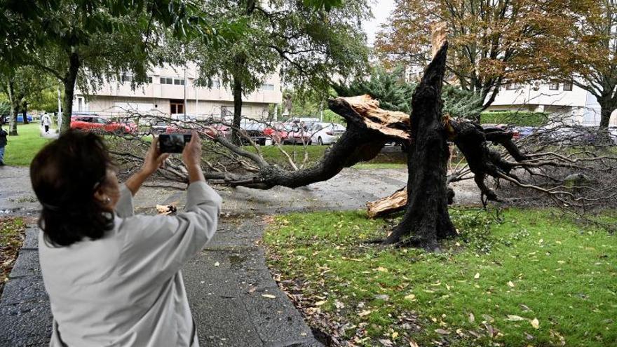 Una mujer fotografía un árbol caído en Campolongo.   | // R.V.   